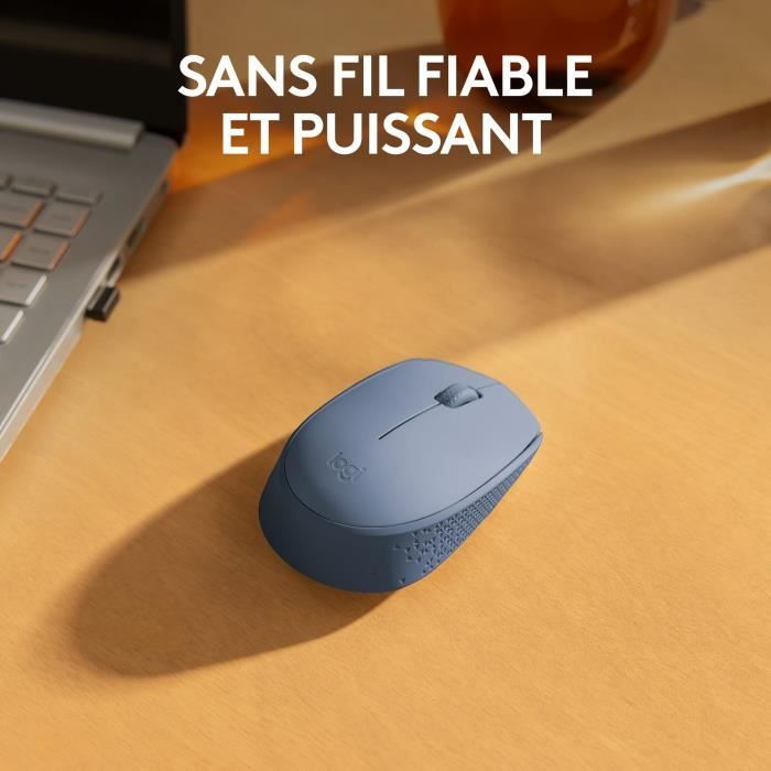 Logitech M171 Wireless mouse 2.4 GHz with mini -USB mini -receiver, optical monitoring, ambidextrous - blue gray