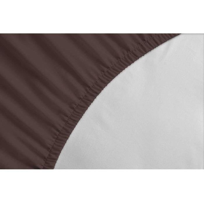 Fitted sheet - LOVELY HOME - LH71591 - 180x200+35 cm - Brown