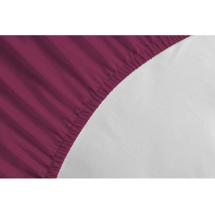 Fitted sheet - LOVELY HOME - LH71607 - 180x200+35 cm - Fuchsia