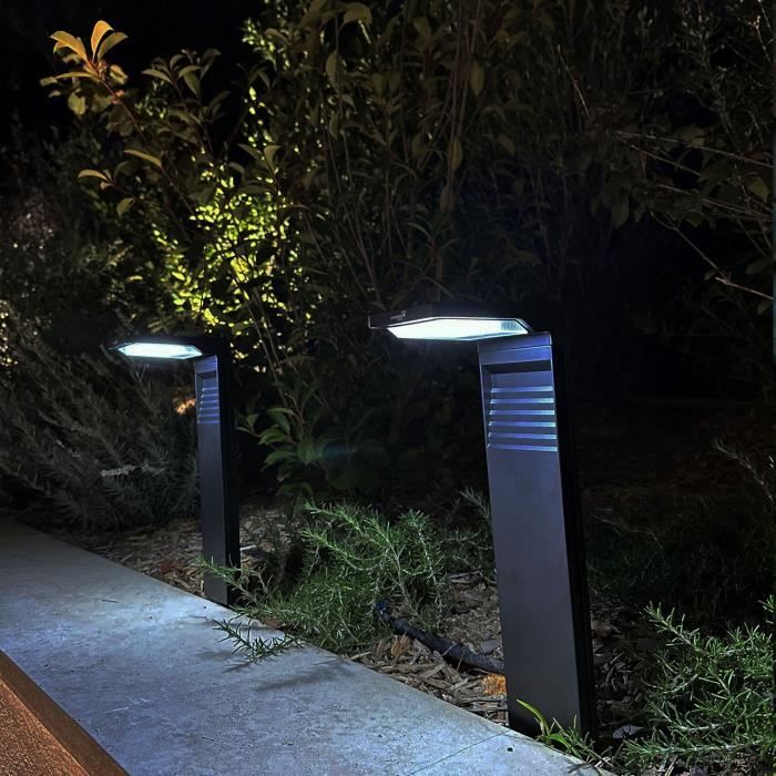 Set of 2 solar beacons to plant - LUMISKY - OSTRY - H41 cm - cold white LED