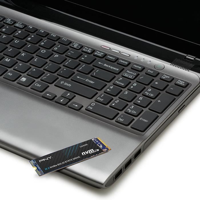 Internal Solid State Drive - PNY - CS1030 M.2 GEN3 - 250 GB - NVMe (M280CS1030-250-RB)