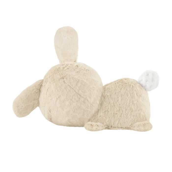 Fisher-Price-My Hug Bunny - Night Light Plush - Educational Toy - HXG97