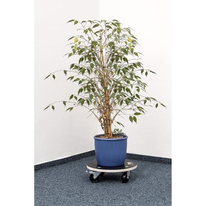 Meister handling trolley 380 mm 200 kg