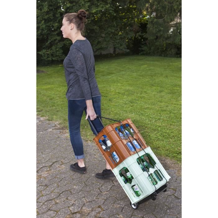 MEISTER Mini devil foldable 45 kg
