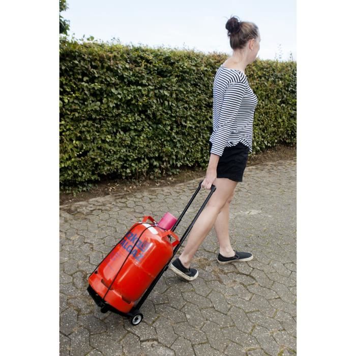 MEISTER Mini devil foldable 45 kg