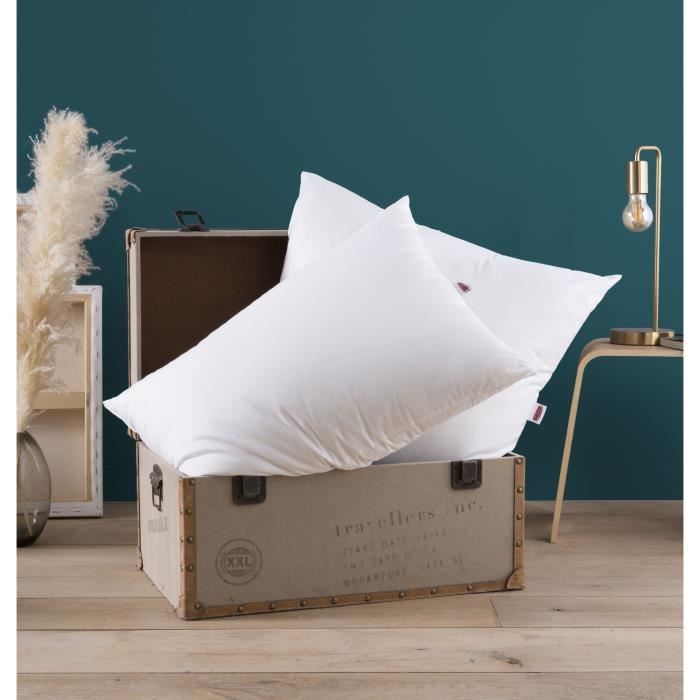 Dodo pillow with memory memory - 60 x 60 cm