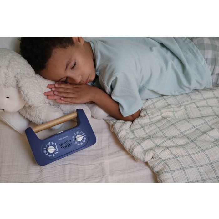 Petit Dream - Bedtime Storyteller - MORPHEE - 288 Soothing Stories - Voice Recording