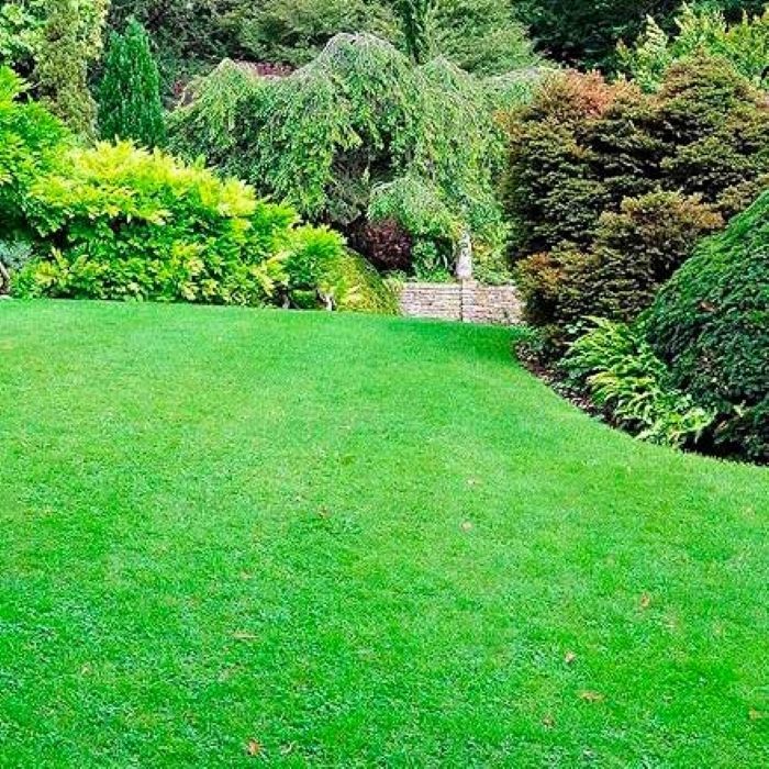 NATUREN organic grass fertilizer 100 m² - 2.5 kg