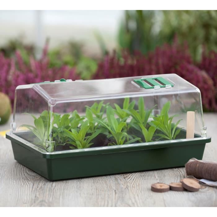 Mini greenhouse terrine and ventilated lid 37x24x18 xm