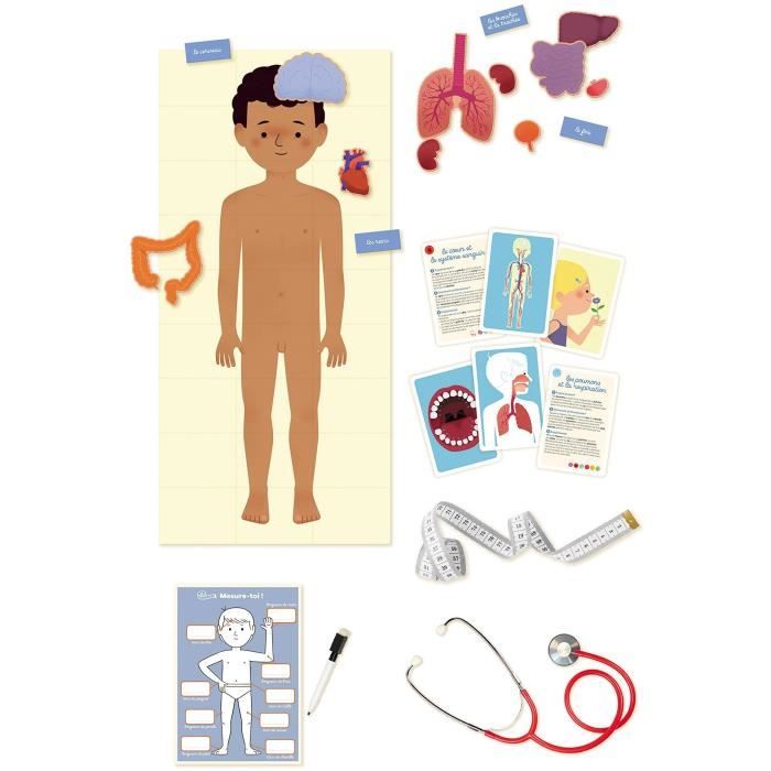 The human body NATHAN - Learning games