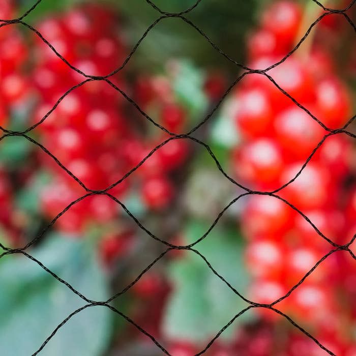 Anti-bird net NATURE Primo 10 x 10 m Black