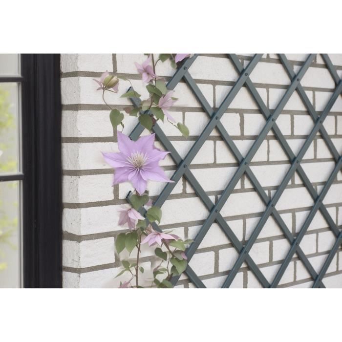 Expandable trellis - NATURE - Anthracite plastic - 50 x 150 cm