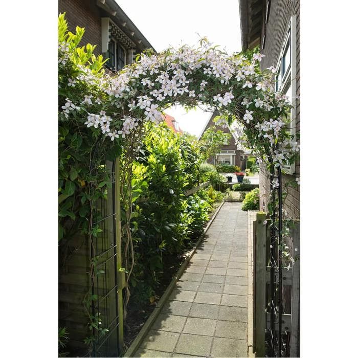 NATURE Pergola arch in galvanized steel 113x38xH229cm - Black