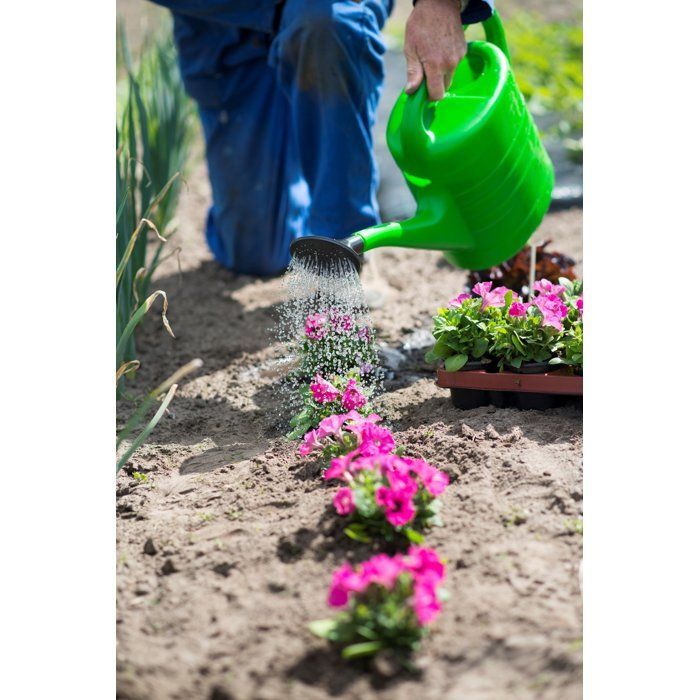 NATURE Watering can - PE - 10,0 ltr