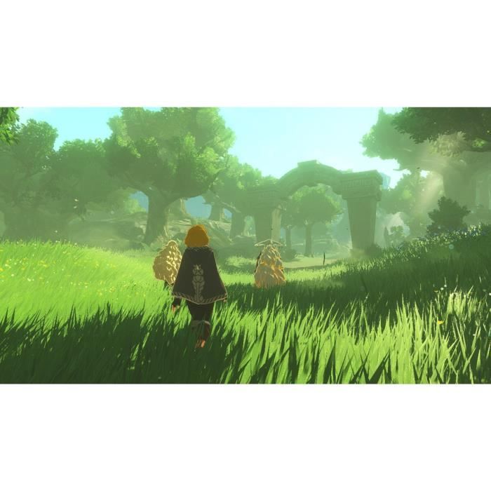 NINNS2HYRULELCDS