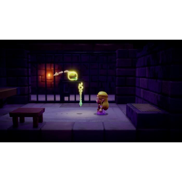 The Legend of Zelda: Echoes of Wisdom  Nintendo Switch game