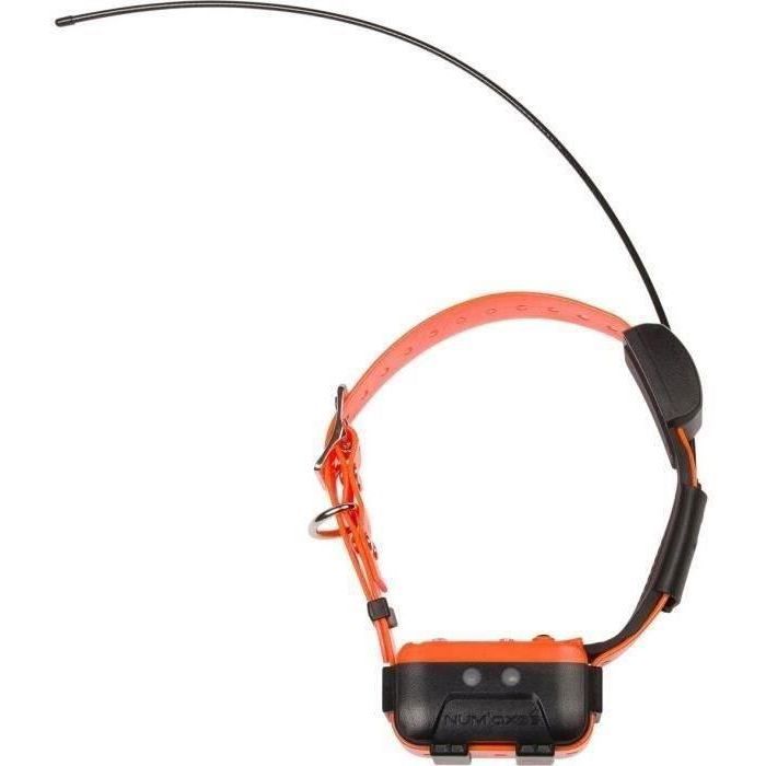 GPS collar - NUM'AXES - CANICOM GPS 2 - Collar only - Black / Orange