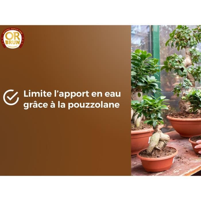 Bonsai soil - BROWN GOLD - OBRTBON6U - 6L - Better rooting
