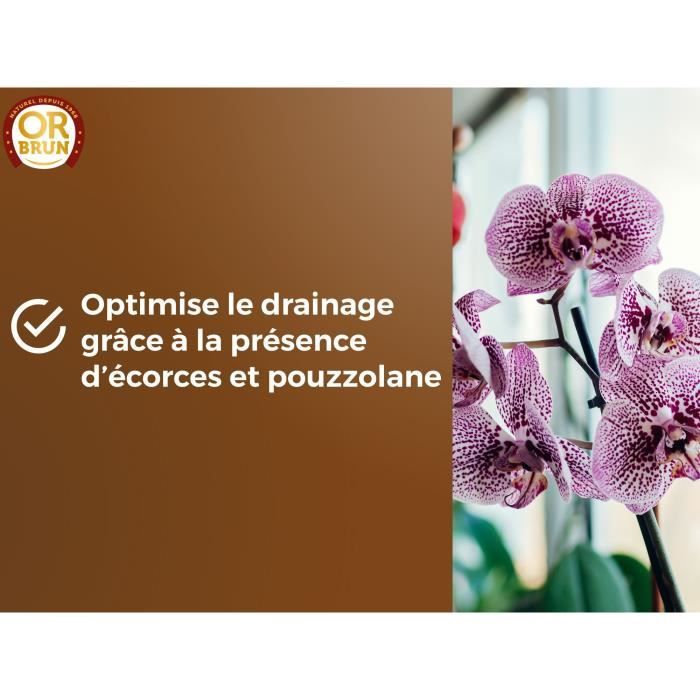 Orchid soil - BROWN GOLD - OBRTORC6U - 6L - Promotes growth