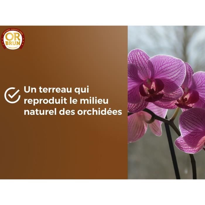 Orchid soil - BROWN GOLD - OBRTORC6U - 6L - Promotes growth