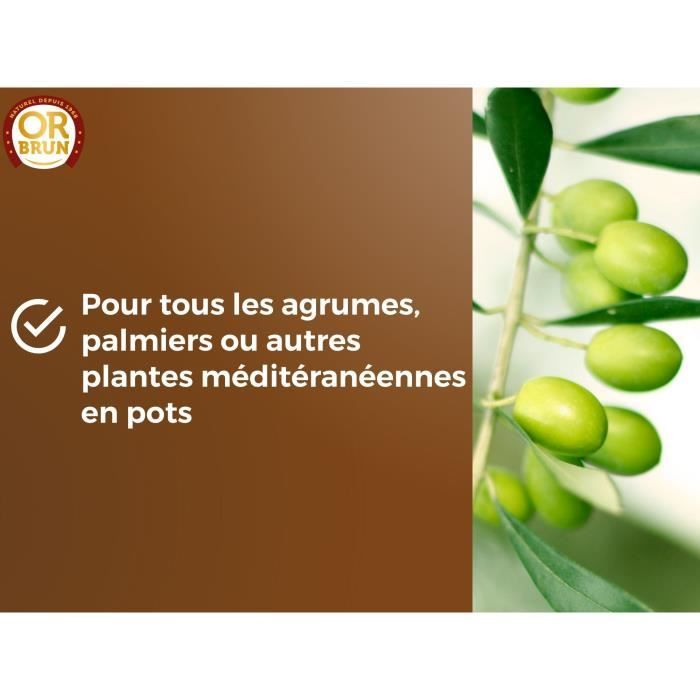 Citrus & Mediterranean Plants Soil - BROWN GOLD - OBRTAGR6U - 6L - Olive Trees Palm Trees & Cycas
