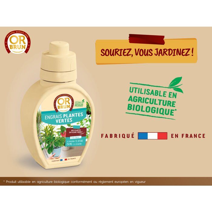 OR BRUN Fertilizer indoor / green plants 250 ml