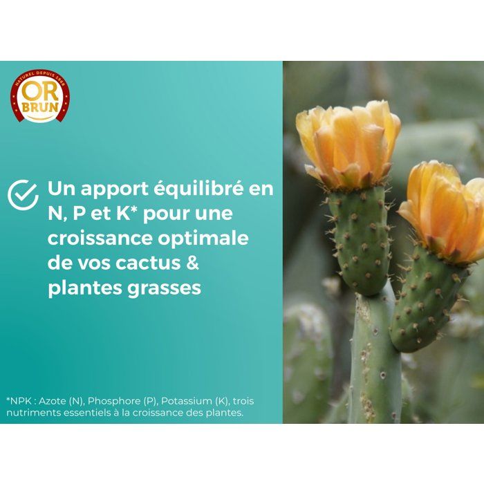 Gold brown Cactus fertilizer 250 ml
