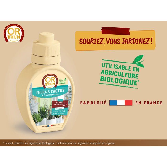 Gold brown Cactus fertilizer 250 ml