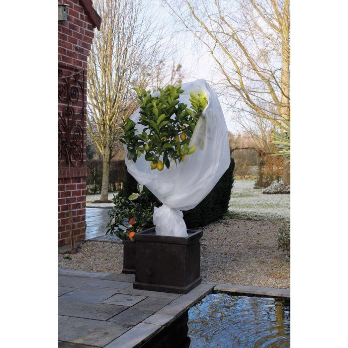 NATURE Wintering veil 30 g / m² - 2 x 5 m - White