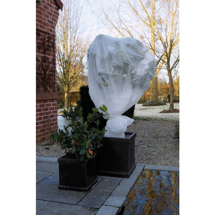 NATURE Wintering veil 30 g / m² - 2 x 5 m - White