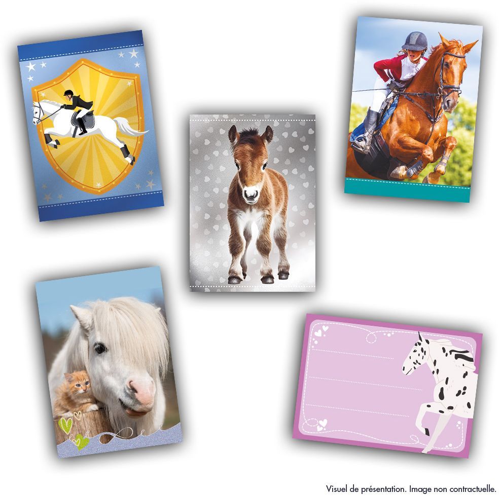 Sticker box - PANINI - Card collection for horse fans - Contains 24 pockets of 8 cards
