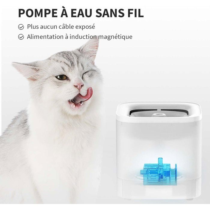 PET1693865162100