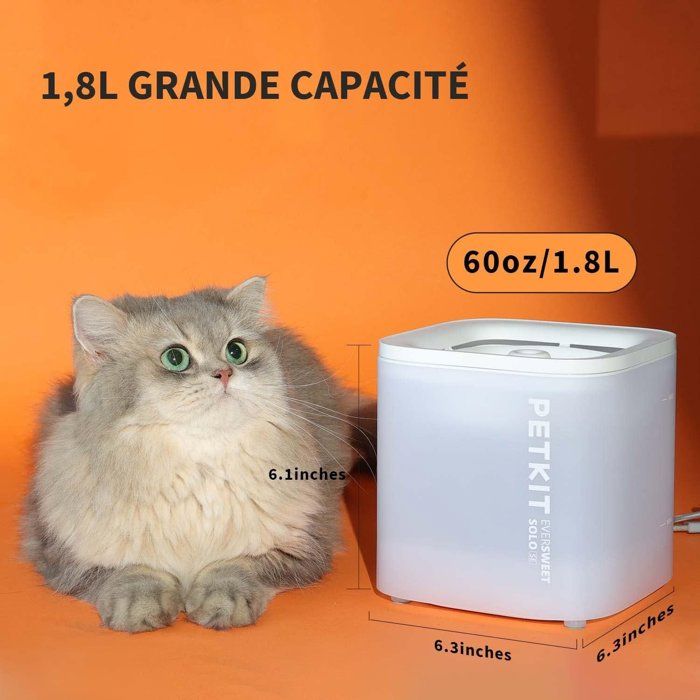 PET1693865162100