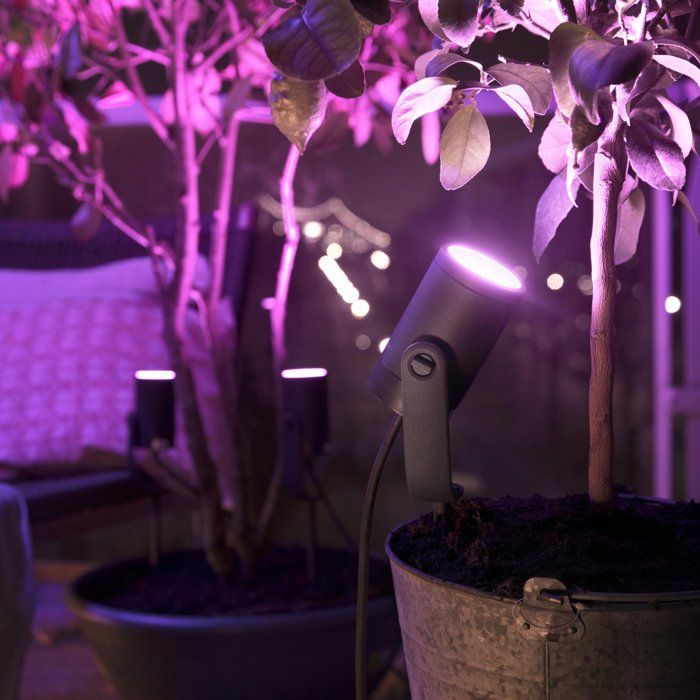 PHILIPS Kit of 3 connected spots HW & CA Lily 8W - Anthracite