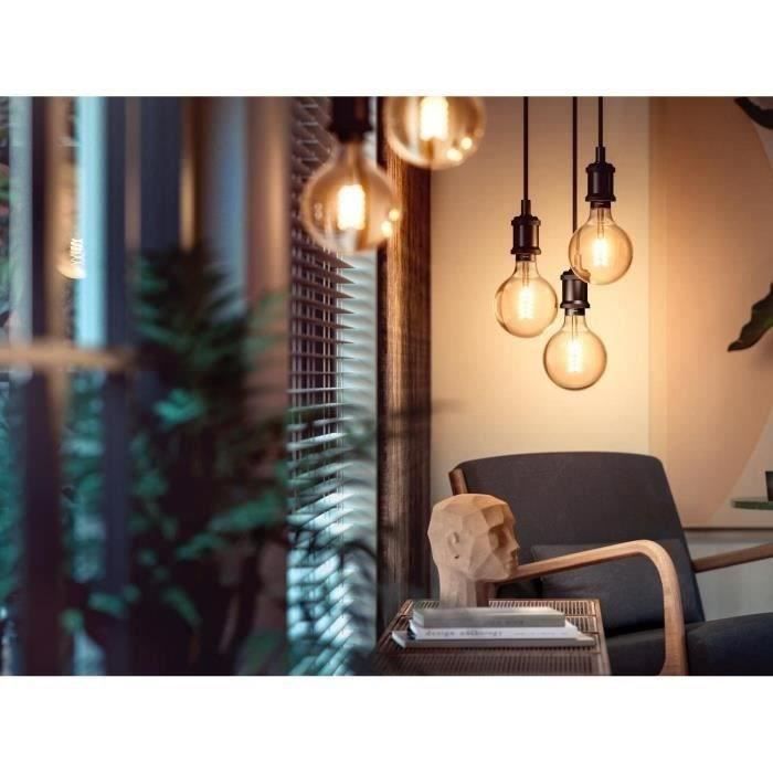 Philips Hue White Ambiance, LED Connected LED E27 Filament G93 Globe, Bluetooth, works with Alexa, Google and Homekit