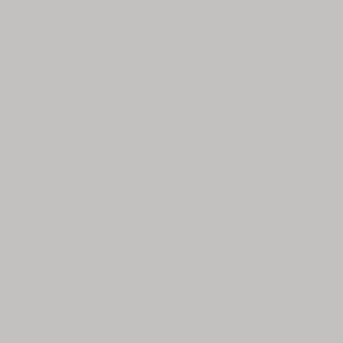 Ripolin mouse gray satin anti-humidity waterproofing paint 2,5L