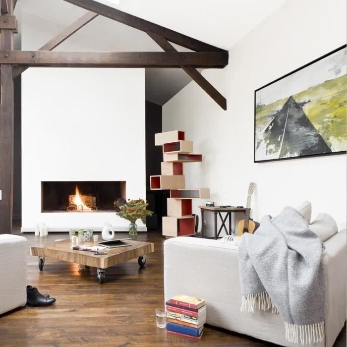 2 in 1 paint for walls and ceilings - Matt white - RIPOLIN - 2.5 L