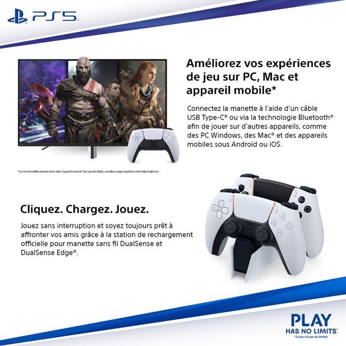 PS5DSPURPLEV3