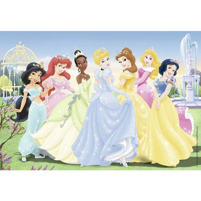 DISNEY PRINCESS Puzzle assembled princesses 2x24pcs