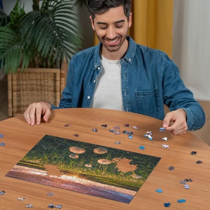 Puzzle 500 pieces Dandelions at dusk, Ages 12 and up, Premium quality puzzle, 12000592, Ravensburger
