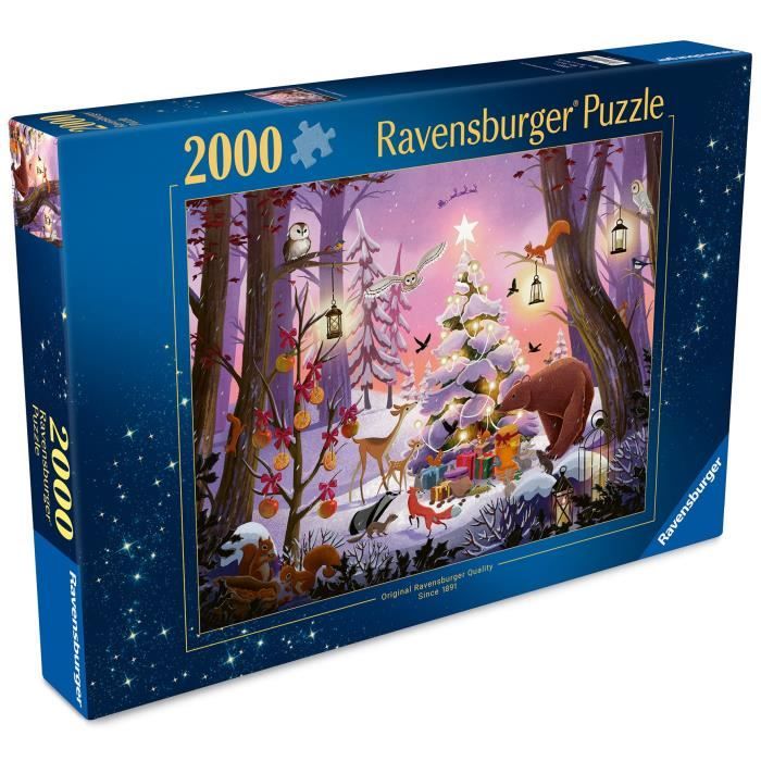 RAV12001417