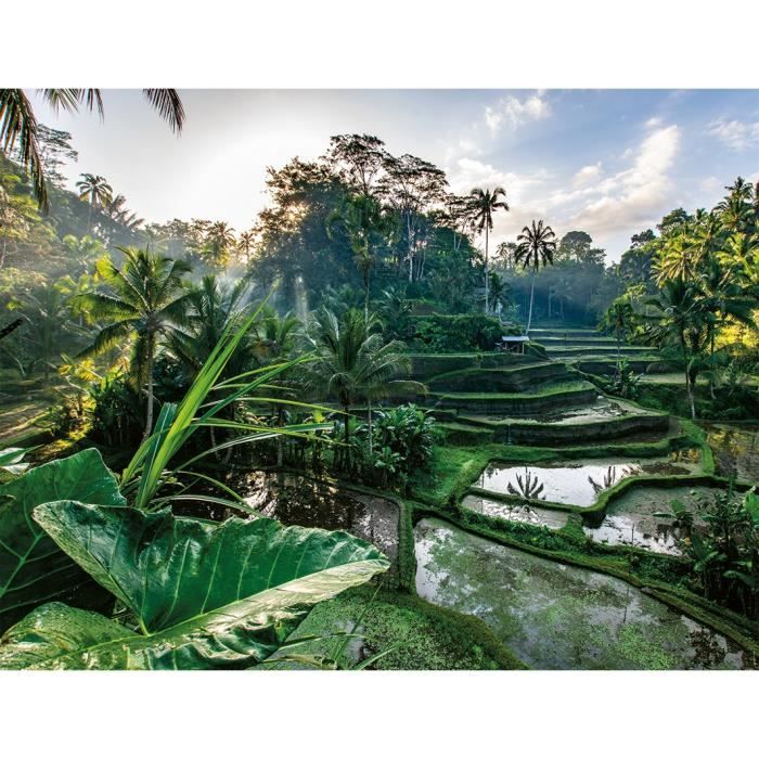 2000-piece puzzle In the heart of Bali, Adults and children from 14 years old, Escape Collection, 12001518, Nathan