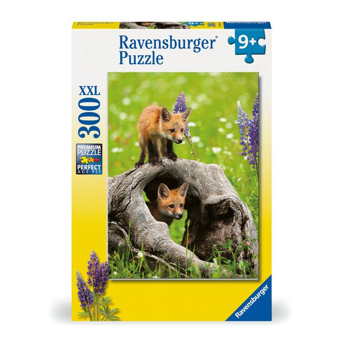 RAV1713282454557