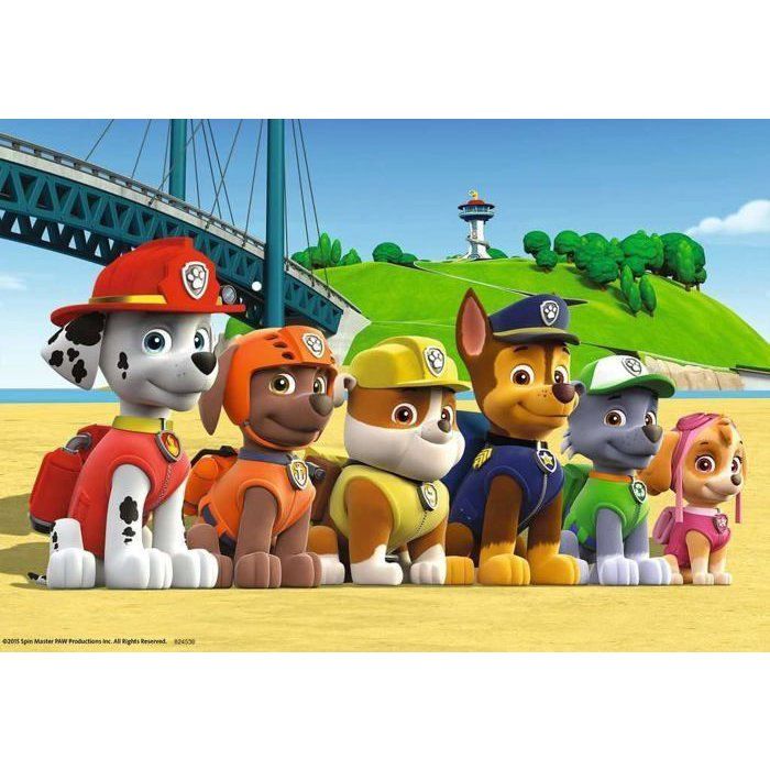 PAT'PATROUILLE Puzzle Heroic Dogs 2x24 pcs