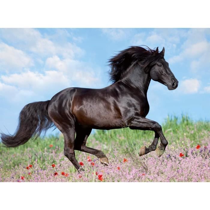 200 piece XXL Black stallion puzzle - Child - Landscape and nature - Ages 8 - 12803 - Ravensburger
