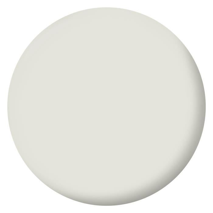 Wall decoration, woodwork & radiators, champagne white velvet - RIPOLIN - 2.5 L