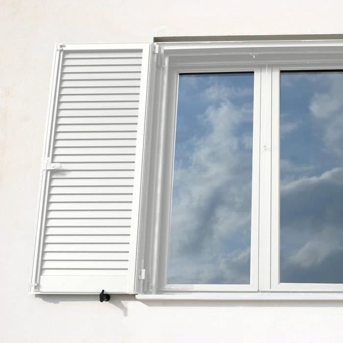 RIPOLIN Satin Wood Paint High Protection 10 years which Protects and Magnifies your Wood - White
