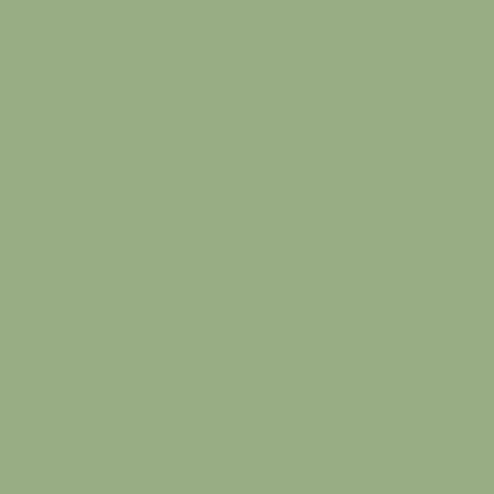 RIPOLIN Paint for Interior & Exterior Wood - Olive Green Ral 6021 Satin, 2,5L