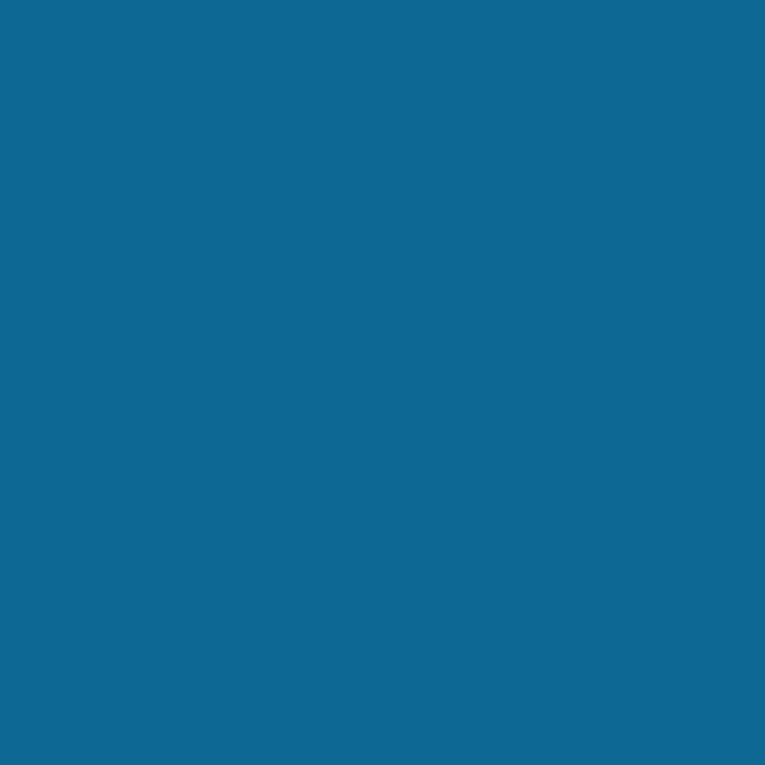 RIPOLIN Satin Wood Paint High Protection 10 years which Protects and Magnifies your Wood - Ocean Blue