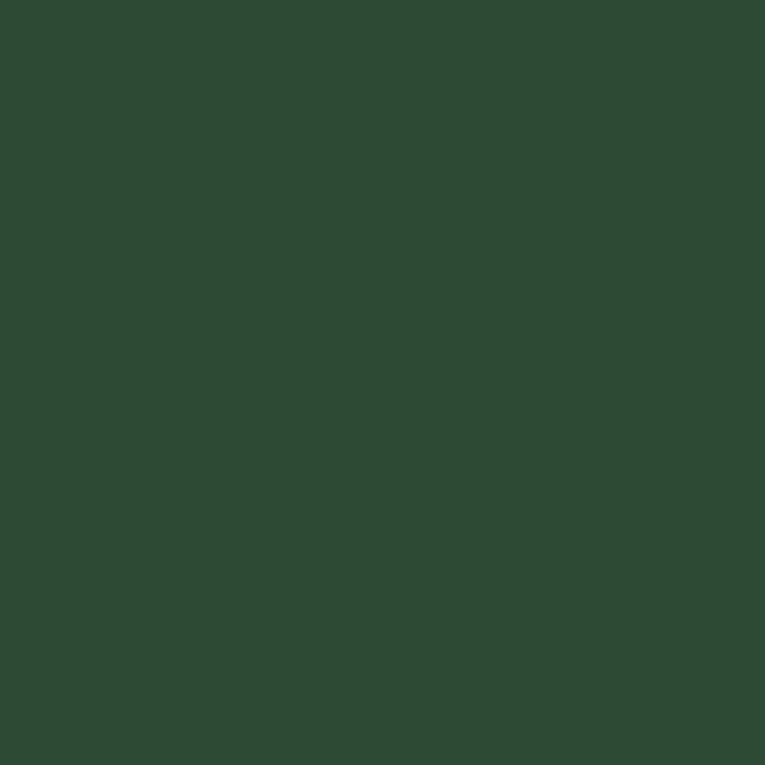 RIPOLIN Satin Wood Paint High Protection 10 years which Protects and Magnifies your Wood - Basque Green